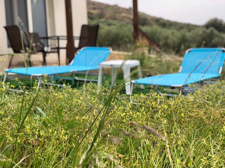 Villa Oniro Kreta Каламаки Екстериор снимка